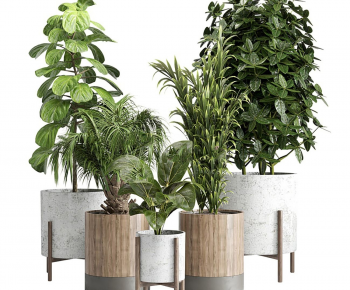 Modern Ground Green Plant Potted Plants-ID:211100676