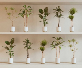 Modern Ground Green Plant Potted Plants-ID:759819986