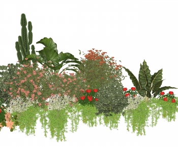 Modern Plant Pile-ID:796603922