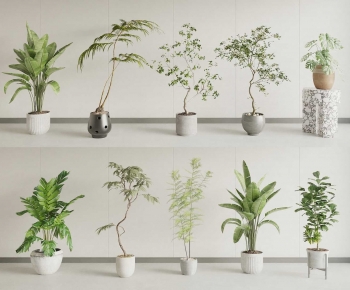 Modern Ground Green Plant Potted Plants-ID:899167069