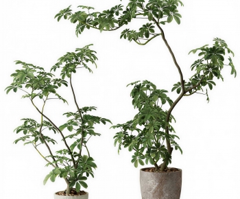 Modern Ground Green Plant Potted Plants-ID:219476946