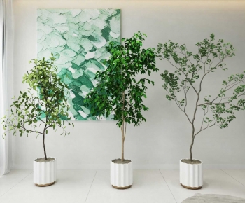 Modern Ground Green Plant Potted Plants-ID:704538867
