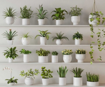 Modern Potted Green Plant-ID:608833077