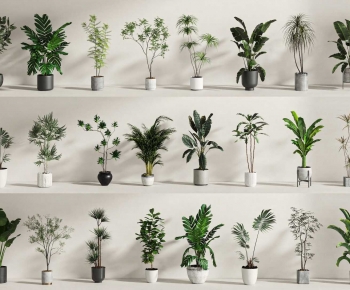 Modern Ground Green Plant Potted Plants-ID:711714037