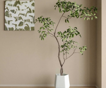 Modern Ground Green Plant Potted Plants-ID:459944968