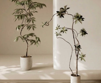 Modern Ground Green Plant Potted Plants-ID:254334939