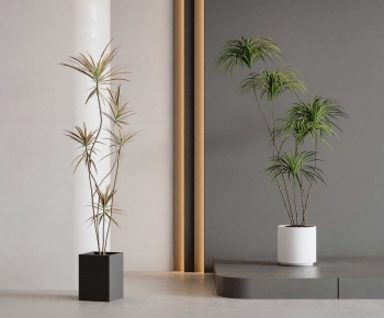 Modern Ground Green Plant Potted Plants-ID:525897038