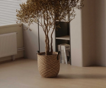 Wabi-sabi Style Ground Green Plant Potted Plants-ID:779583938