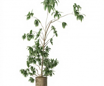 Modern Ground Green Plant Potted Plants-ID:451290635