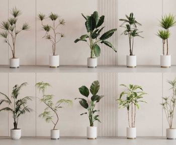 Modern Ground Green Plant Potted Plants-ID:562170981