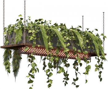 Modern Chlorophytum Comosum-ID:286582953