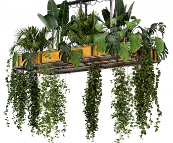 Modern Chlorophytum Comosum-ID:391309983