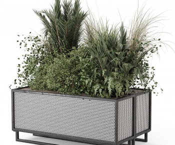 Modern Flower Bed, Flower Bowl, Flower Box-ID:481769083