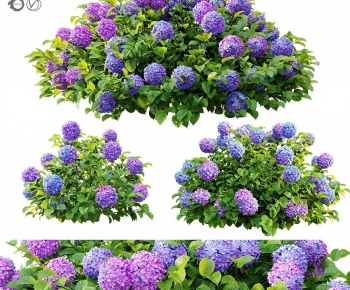 Modern Shrubbery-ID:556478023