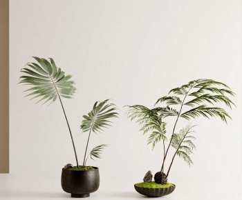 New Chinese Style Bonsai-ID:464102987