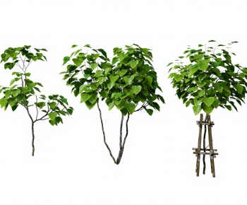 Modern Tree-ID:912537101