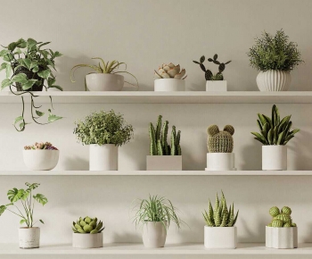 Modern Potted Green Plant-ID:102440126