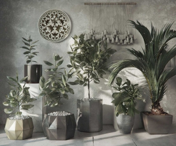 Modern Ground Green Plant Potted Plants-ID:102648024