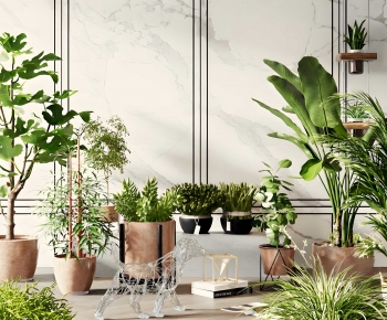 Modern Ground Green Plant Potted Plants-ID:901582005