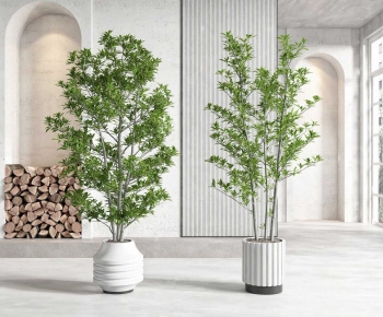 Modern Ground Green Plant Potted Plants-ID:134753949