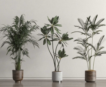 Modern Ground Green Plant Potted Plants-ID:395777945