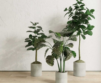 Modern Ground Green Plant Potted Plants-ID:784473909