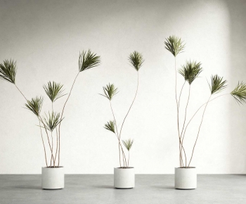 Modern Ground Green Plant Potted Plants-ID:220252046