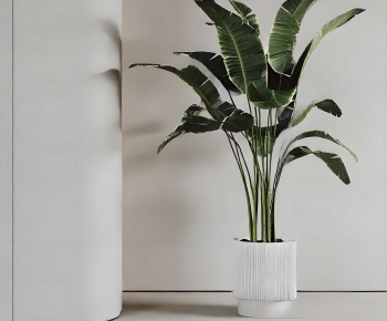 Modern Ground Green Plant Potted Plants-ID:675720939