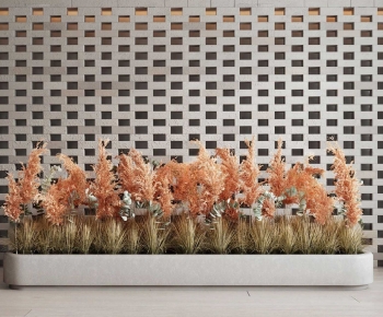 Modern Flower Bed, Flower Bowl, Flower Box-ID:172395944