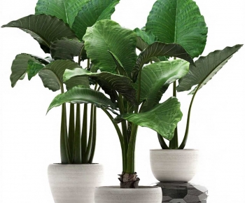 Modern Potted Green Plant-ID:380892043