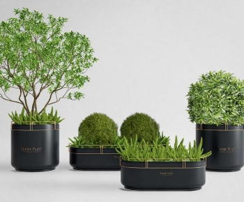 Modern Flower Bed, Flower Bowl, Flower Box-ID:886622916