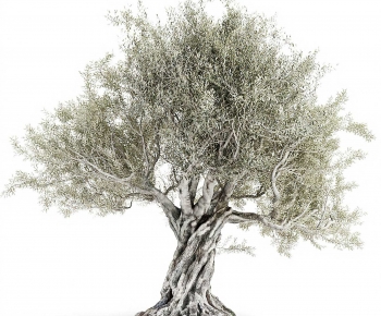 Modern Tree-ID:743990909