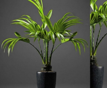 Modern Ground Green Plant Potted Plants-ID:620172988