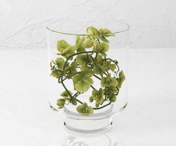 Modern Aquatic Green Plant-ID:541156053