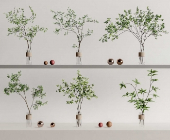 Modern Aquatic Green Plant-ID:793890957