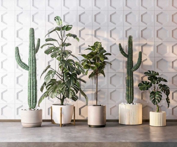Modern Ground Green Plant Potted Plants-ID:692241913
