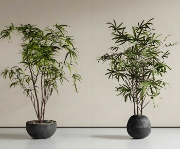 Wabi-sabi Style Ground Green Plant Potted Plants-ID:242331033