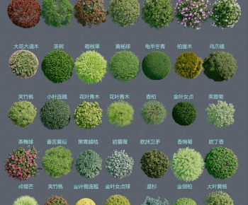 Modern Shrubbery-ID:593988904