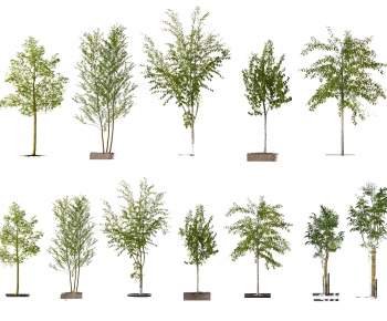 Modern Ground Green Plant Potted Plants-ID:630212071