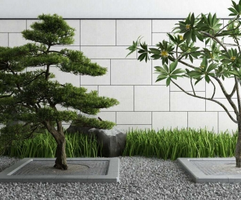 Modern Tree-ID:569520039