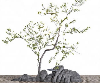 Modern Plant Landscaping-ID:507245069