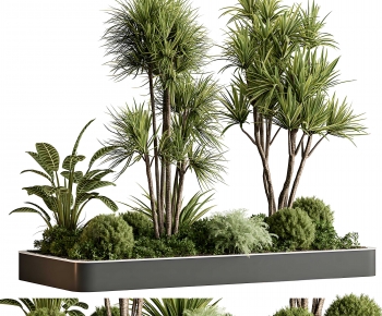 Modern Flower Bed, Flower Bowl, Flower Box-ID:232779037