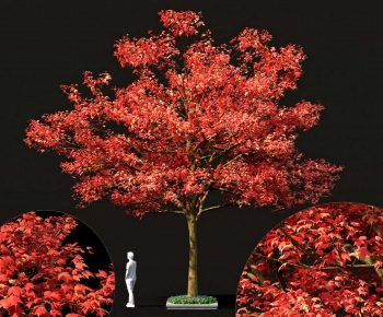 Modern Tree-ID:888923883