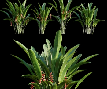 Modern Plant-ID:137321004