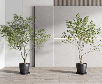 Modern Ground Green Plant Potted Plants-ID:939059976