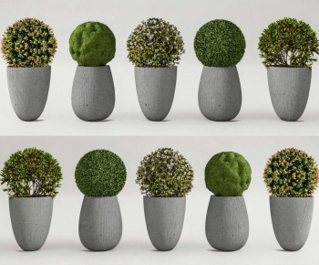 Modern Flower Bed, Flower Bowl, Flower Box-ID:546300891