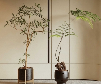 Modern Ground Green Plant Potted Plants-ID:147102121