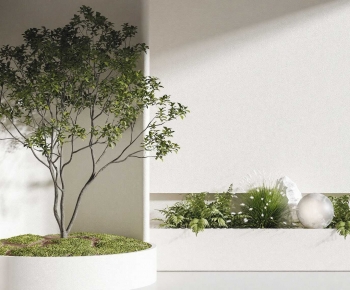Modern Plant Landscaping-ID:791582113