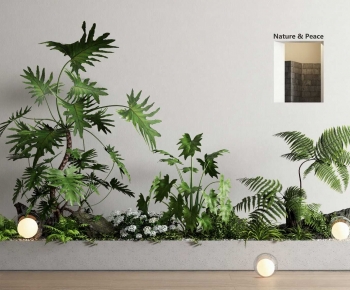 Modern Plant Landscaping-ID:228507044