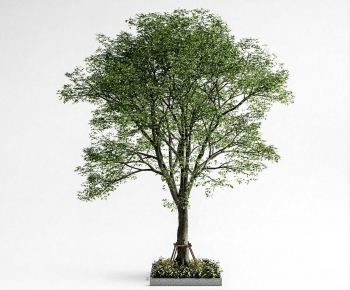 Modern Tree-ID:638833053